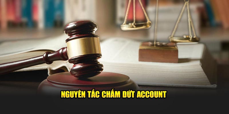 nguyen-tac-cham-dut-account